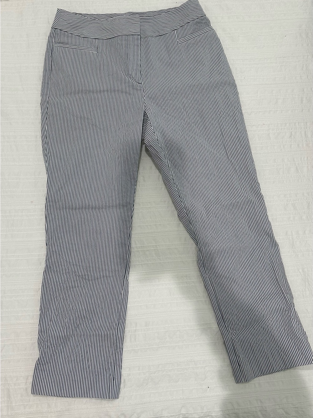 Ann Taylor Navy and White Pinstripe Women’s Pants